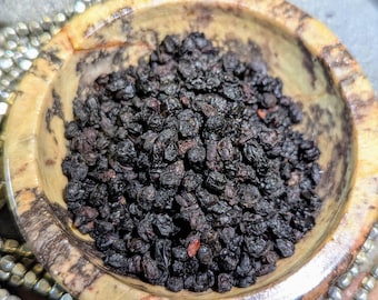 Elderberries — Blessing • Love • Protection & Ancestral Wisdom