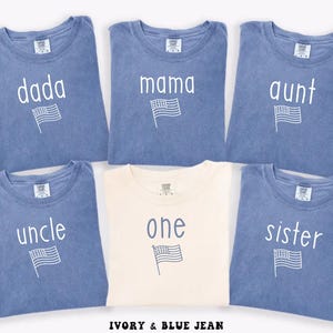 4th of July Family Birthday Shirts, Personalized Patriotic Matching Tees, USA Flag First Birthday Outfit, Comfort Colors 4th of July Shirts.