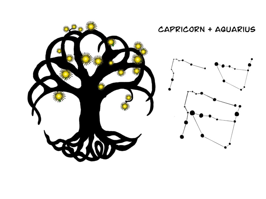 Capricorn Aquarius Combined Tree of Life Astrology Constellations ...