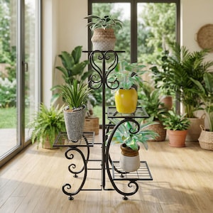May include: A black metal plant stand with multiple tiers, each holding a potted plant. The stand has a decorative heart-shaped design and scrollwork. The plants include ferns, succulents, and other greenery, creating a natural, indoor garden display.