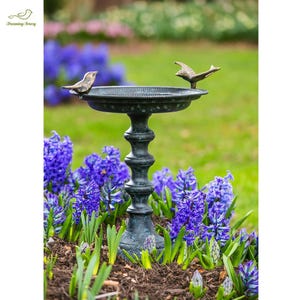 May include: A decorative bird bath with a dark green finish, featuring two bird figurines perched on the rim. The bird bath is surrounded by vibrant purple hyacinth flowers and green grass, creating a garden scene.