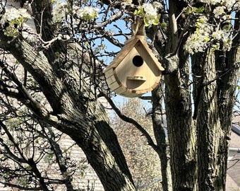 Wooden Bird House – Hanging Outdoor Birdhouses for Bluebirds, Finches & Cardinals | Rustic Garden Decor, Clearance Nesting Box,Solid Wood
