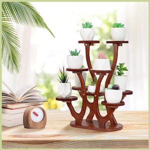 May include: A tiered, dark brown wooden plant stand displaying several small potted succulents. The stand has multiple levels, each holding a white geometric-shaped pot with a different succulent. A small wooden clock and books are also visible.