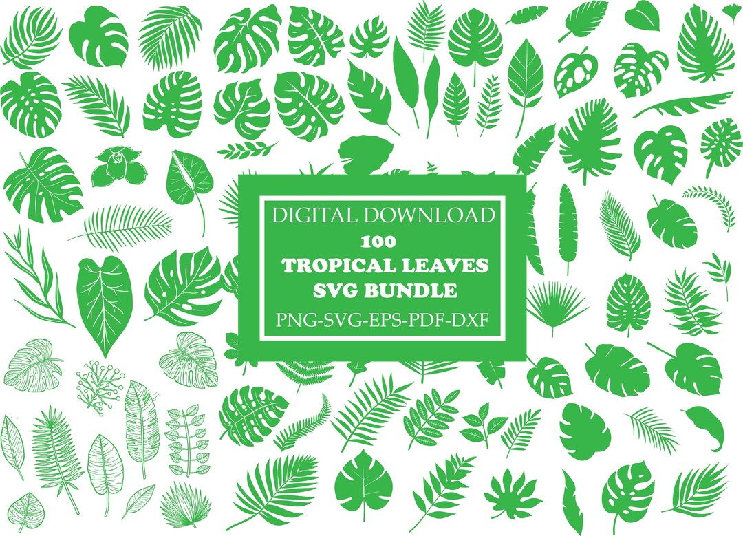 Tropical Leaves Svg Bundle Monstera Leaf Svg Jungle Leaves Clipart Palm ...