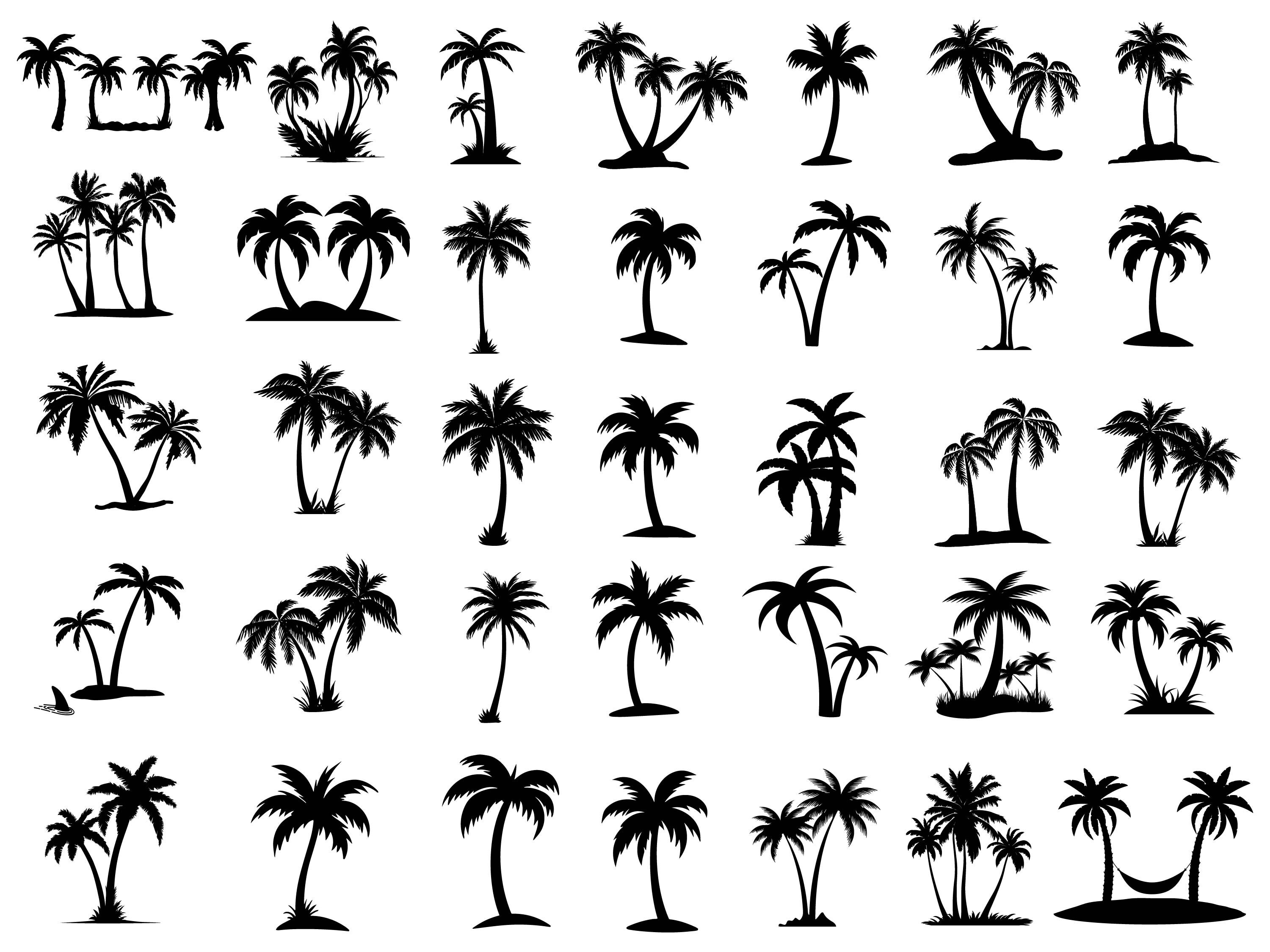 Palm Tree SVG Bundle Palm Tree PNG Bundle Palm Tree Clipart Palm Tree ...