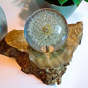 Dried dandelion, night light, real flowers epoxy resin, resin lamp, bedside lamp, dandelion, crystal ball, resin art lamps, art