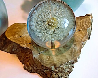 Dandelion Lamp Resin Light – Real Flower Night Light Wood, Dandelion Lamp Gift, Romantic Decoration, LED Light, Gift Idea