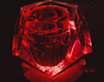 Eternal Rose Lamp Gift for Girlfriend – Romantic LED Rose Lamp, Anniversary Gift for Her, Valentine's Day Gift for Women