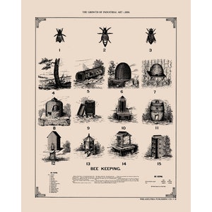 Cartel vintage de la historia de la apicultura