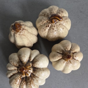 May include: Four ceramic pumpkins in a cream-coloured glaze with brown speckles and dark brown stems. Each pumpkin features a ribbed, rounded shape with a glossy finish. The pumpkins are arranged in a cluster, showcasing their textured surfaces.