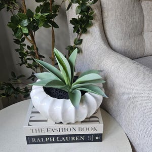 Plantenbak, wit geglazuurde keramische kom plantenbak, sculpturale plantenpot, modern interieur reactief glazuur huistuinaccessoires