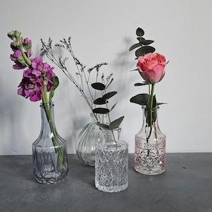 4 Glas Flasche Vase | Frühlings-Pastell-Sammlung von Blumenvasen | Küche Wohnzimmer Dekoratives Ornament | Home Decor Accessoires Hyggeat15