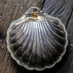 May include: A silver-colored, shell-shaped trinket box with a hinged lid. The box has a detailed, ridged design and a beaded edge. The metal has a tarnished appearance, giving it an antique look. The box is resting on a dark wooden surface.