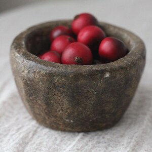 May include: A rustic, stone bowl filled with vibrant red berries. The bowl has a rough, textured surface and a dark, earthy color. The berries are round and glossy, creating a striking contrast against the bowl's texture.