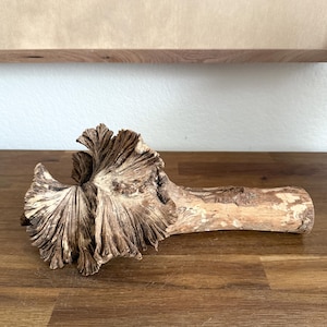 Volcanic Flower Decorative Sculpture