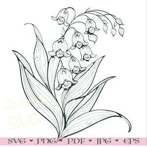 Contour de fleur de muguet, Svg, Clipart pour chemise décor art mural fichier coupe png Pdf jpg fer sur vinyle gravure laser, usage Commercial