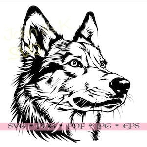 coole Saarloos Wolfdog SVG, hond cutfile Cricut silhouet Wolfdog Clipart Jpg Png Pdf Eps opstrijkbare Vinyl Lasergravure, commercieel gebruik