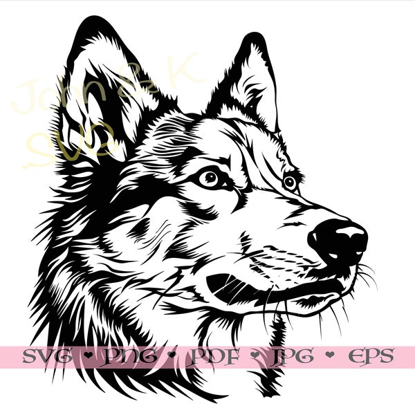 coole Saarloos Wolfshund SVG, Hund Schnittdatei Cricut Silhouette Wolf Hund Clipart Jpg Png Pdf Eps Eisen auf Vinyl Laser Gravur, kommerzielle Nutzung