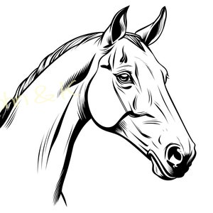 Cheval SVG, Silhouette de cheval, Akhal-Teke svg, Horse Clipart, Akhal-Teke Svg pour polaire, chemise, serviette, Cutfile png Pdf jpg, Utilisation commerciale