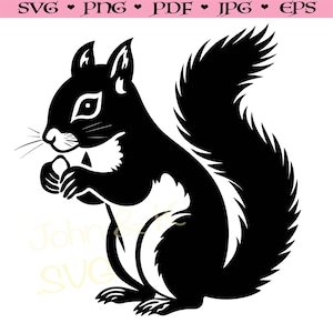 Écureuil roux américain Svg, silhouette d’écureuil, fichier coupé d’écureuil, écureuil svg pour autocollant de tasse de chemise, clipart png pdf jpg, utilisation commerciale