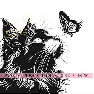 Maine coon Svg, fichier coupe papillon Maine coon, chat Clipart Cricut Silhouette png jpg pdf eps fer sur vinyle gravure laser, usage Commercial