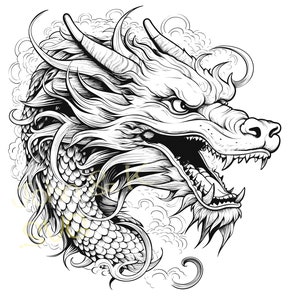 May include: A black and white line drawing of a dragon's head with an open mouth and sharp teeth. The dragon is surrounded by stylized clouds.