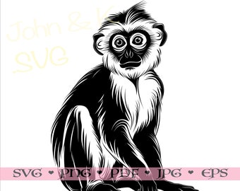 spider monkey SVG, cute monkey cutfile, Cricut Silhouette Monkey Clipart Png jpg pdf eps Iron on Vinyl Laser Engraving, Commercial use