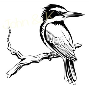 Sacré Kingfisher Svg, Kingfisher Svg, clipart amoureux des oiseaux, Nouvelle-Zélande Kingfisher Svg pour la décoration de vêtements, Cutfile png Pdf jpg