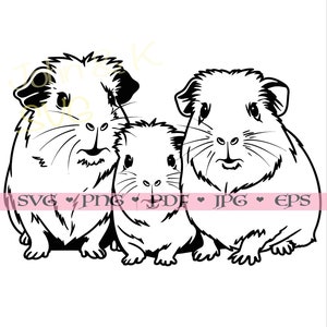 May include: A black and white line drawing of three guinea pigs. The guinea pigs are all facing forward and have their eyes open. The guinea pig in the middle is the smallest and is nestled between the other two guinea pigs.