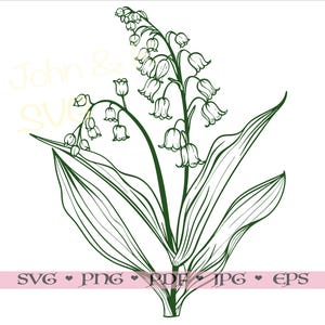 Contour de fleur de muguet, Svg, Clipart pour chemise décor art mural fichier coupe png Pdf jpg fer sur vinyle gravure laser, usage Commercial