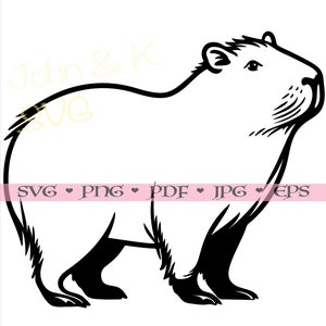 May include: Black and white SVG file of a capybara. The image includes the text "John & K SVG" in a light yellow color, and the text "SVG PNG PDF JPG EPS" in a pink color.