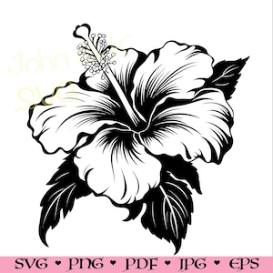 hibiscus bloem Svg, hibiscus bloem overzicht, bloem Svg voor shirt, decor, Cutfile png Pdf jpg Opstrijkbare Vinyl Lasergravure, Commercieel gebruik