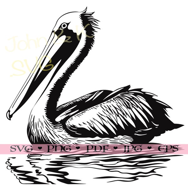 Pelican Svg, Pelican vector, Funny Pelican cutfile Cricut Silhouette Clipart Jpg Pdf Png eps Iron on Vinyl Laser Engraving, Commercial use