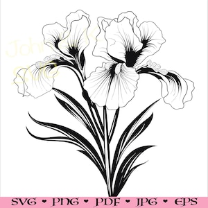 Puede incluir: Ilustración en blanco y negro de línea de arte de tres flores de iris con tallos y hojas.