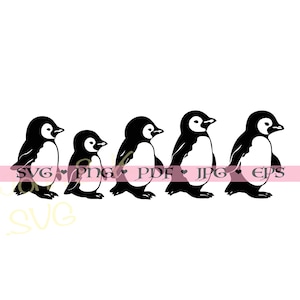 Pingüino Svg, Emperador Pingüino Svg, bebé pingüino cutfile Silueta Clipart Png Pdf Jpg eps Hierro en vinilo Grabado láser, Uso comercial