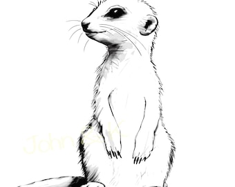 meerkat Svg, meerkat vector, Cute meerkat svg, meerkat Clipart, Cute meerkat Svg for Fleece, Shirt, Mug, sticker, Cutfile png Pdf jpg