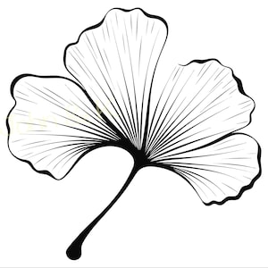 Ginkgo Leaf Svg, Ginkgo Leaf vettoriale, Foglia in formato SVG, Ginkgo Leaf Clipart, Foglia in formato Svg per adesivo tazza maglietta tatuaggio, Cutfile png Pdf jpg