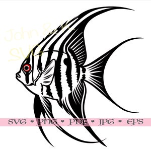 Angelfish SVG, Angelfish cutfile Cricut Silhouette pet fish Clipart Jpg Png Pdf Eps Iron on Vinyl Laser Engraving, Commercial use