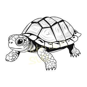 Box Turtle Svg, este Box Turtle Svg, Turtle Clipart, Box Turtle Svg para camisa, taza, pegatina, Cutfile png Pdf jpg, descarga instantánea