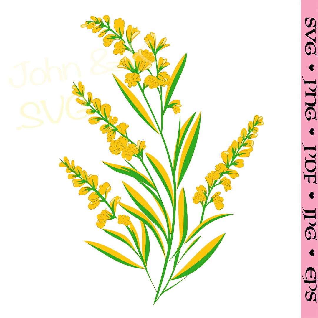 Gold Rod Vector Goldenrod Svg, Canada Flower Svg for Wall Art Shirt, Decor, Cutfile Eps ...