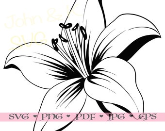 Lily Svg, Lily Flower contorno, Lily Clipart, Lily Svg para camisa, decoración, Cutfile png Pdf jpg Hierro sobre vinilo Grabado láser, Uso comercial