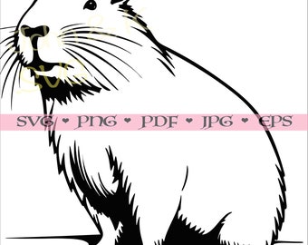 capybara Svg, cute capybara Svg, cutfile Cricut Silhouette capybara Clipart Png Jpg Pdf Eps Iron on Vinyl Laser Engraving, Commercial use