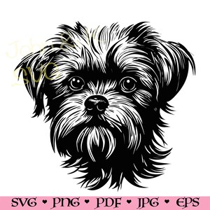 Affenpinscher SVG, Affenpinscher cutfile, Cricut Silhouette dog puppy Clipart PNG Iron on Vinyl Laser Engraving, Commercial use