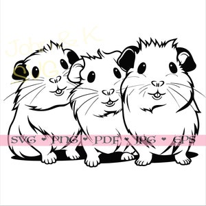 Cochon d'Inde Svg, Cavy svg, vecteur de cochon d'Inde Clipart Cricut Silhouette png jpg pdf eps fer sur vinyle gravure laser, usage Commercial