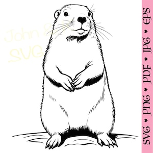 Marmotta in formato Svg, marmotta in formato SVG, cane della prateria in formato SVG, tarabagan in formato SVG, marmotta in formato Svg per pile, camicia, tazza, Cutfile png Pdf jpg, uso commerciale