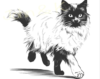 Ragdoll Cat SVG Cut File: Clipart Vector (Digital Download)