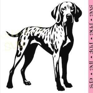 Puede incluir: Ilustración en silueta en blanco y negro de un perro Braco Alemán de Pelo Corto de pie con las patas separadas.