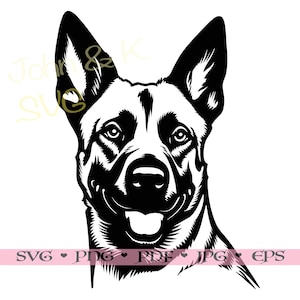 Belgische Malinois SVG, Malinois Clipart, cutfile Cricut Silhouette Malinois Clipart Png Jpg Pdf Eisen auf Vinyl Lasergravur, kommerzielle Nutzung