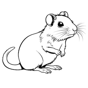 Gerbille Svg, Svg de gerbille mignonne, pissenlit de souris cutfile Clipart Cricut Silhouette png jpg pdf eps fer sur vinyle gravure laser, usage Commercial