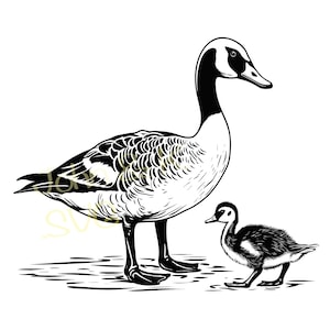 Canada Goose Svg, Canada Goose baby Svg, mom and baby svg, Canada Goose Svg for clothes, sticker, decor, Cutfile png Pdf jpg